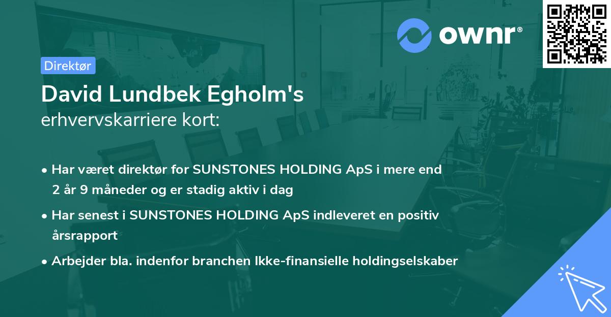 David Lundbek Egholm's erhvervskarriere kort