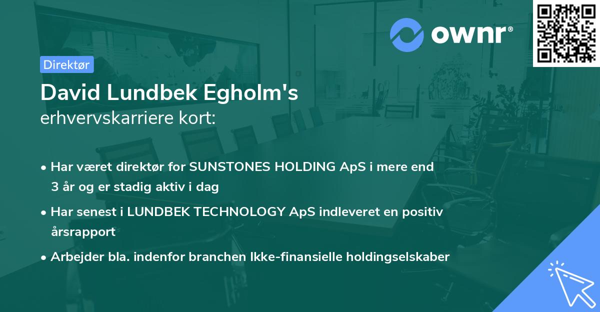 David Lundbek Egholm's erhvervskarriere kort