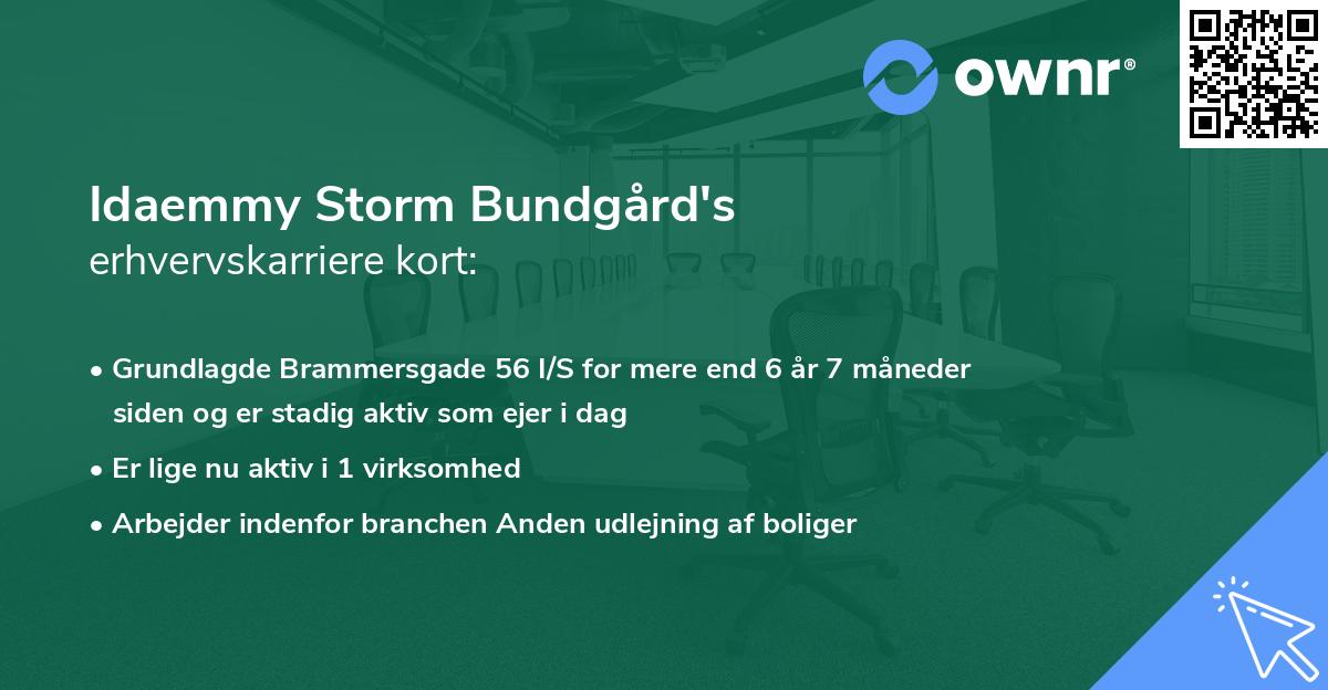 Idaemmy Storm Bundgård's erhvervskarriere kort