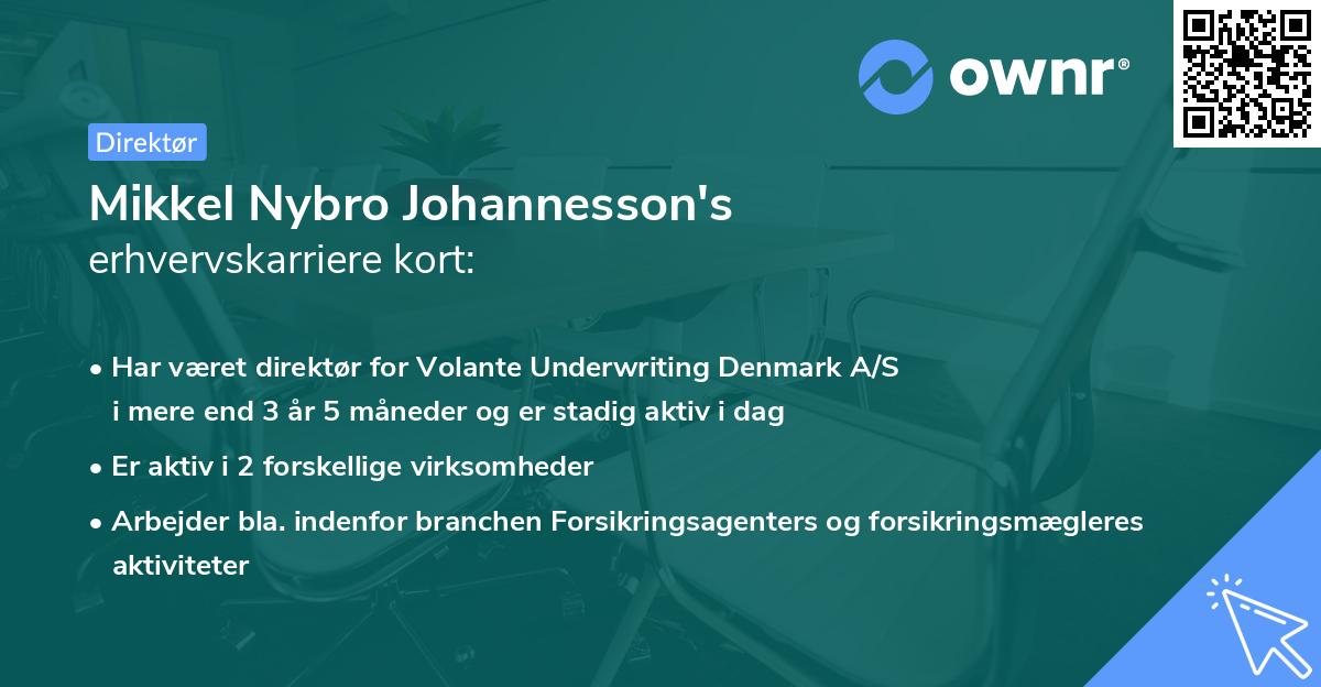 Mikkel Nybro Johannesson's erhvervskarriere kort