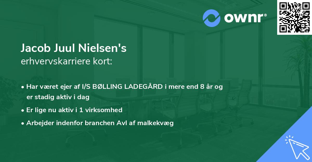Jacob Juul Nielsen's erhvervskarriere kort
