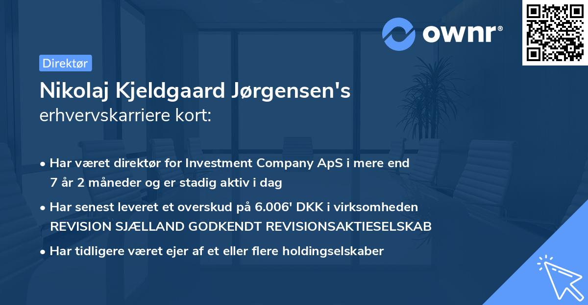 Nikolaj Kjeldgaard Jørgensen's erhvervskarriere kort