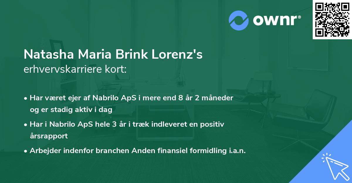 Natasha Maria Brink Lorenz's erhvervskarriere kort