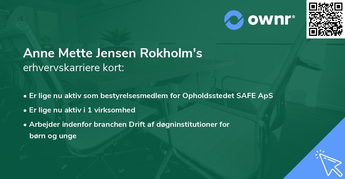 Anne Mette Jensen Rokholm's erhvervskarriere kort