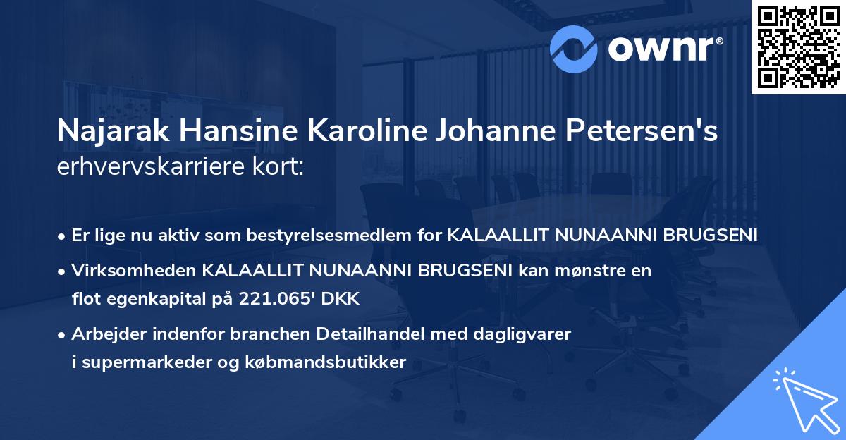 Najarak Hansine Karoline Johanne Petersen's erhvervskarriere kort