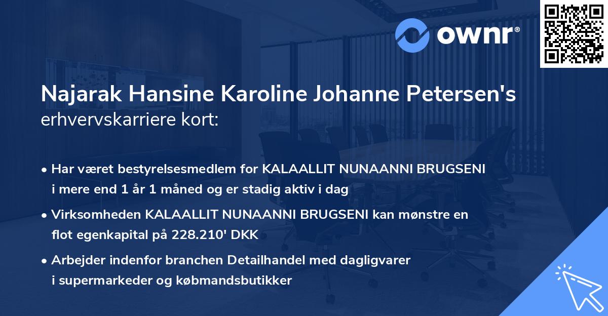 Najarak Hansine Karoline Johanne Petersen's erhvervskarriere kort