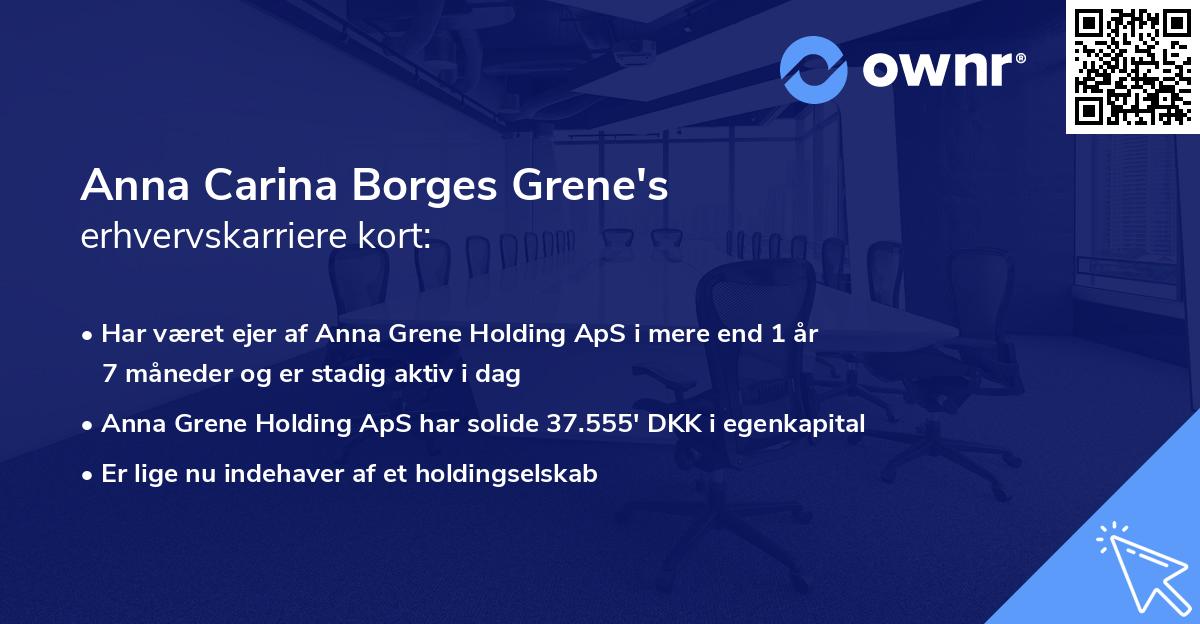 Anna Carina Borges Grene's erhvervskarriere kort