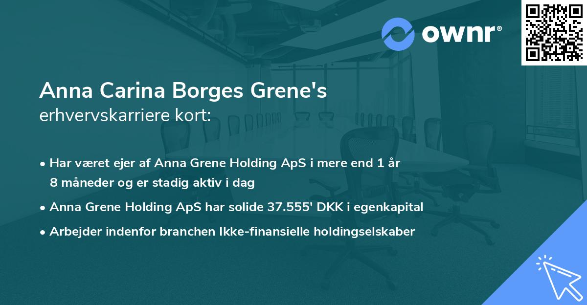 Anna Carina Borges Grene's erhvervskarriere kort