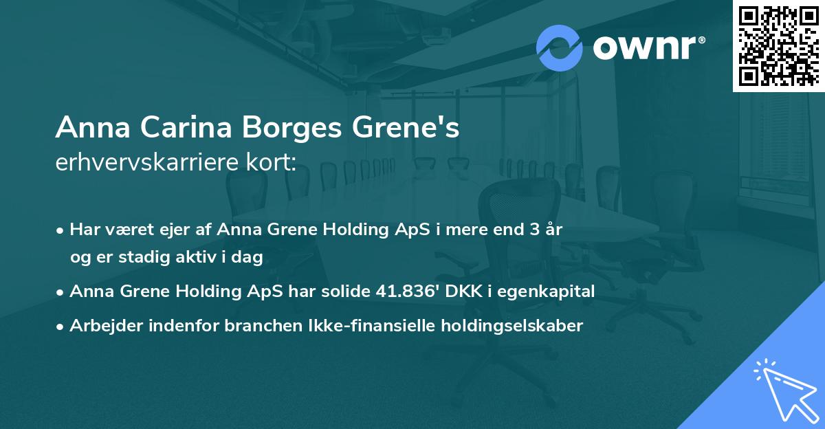 Anna Carina Borges Grene's erhvervskarriere kort