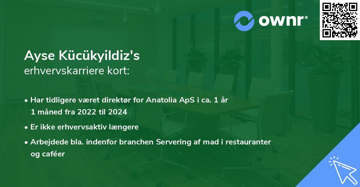Ayse Kücükyildiz's erhvervskarriere kort