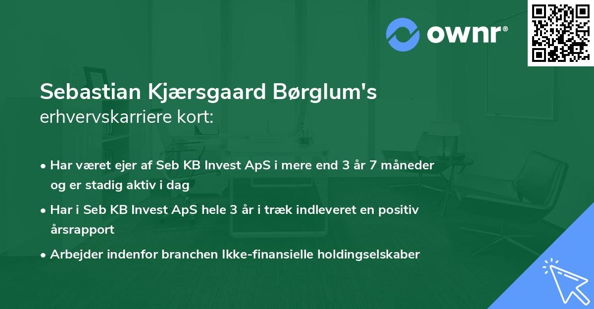 Sebastian Kjærsgaard Børglum's erhvervskarriere kort