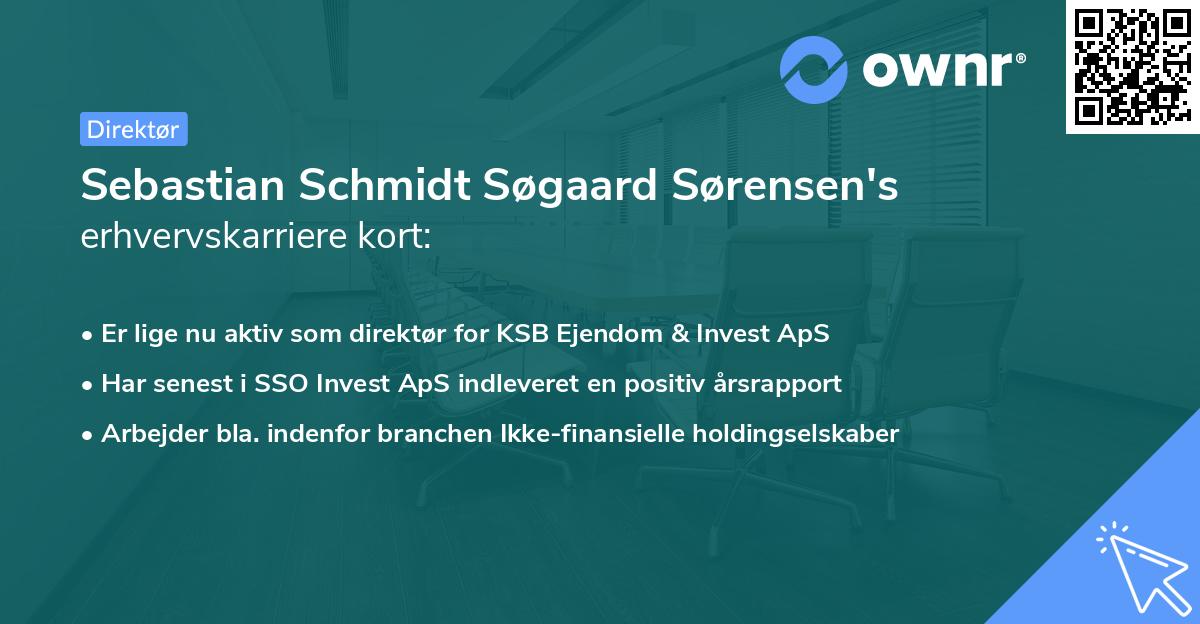 Sebastian Schmidt Søgaard Sørensen's erhvervskarriere kort