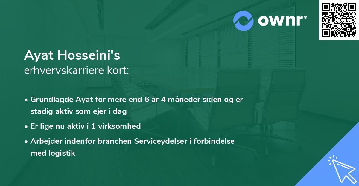Ayat Hosseini's erhvervskarriere kort
