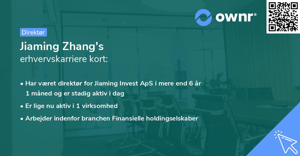 Jiaming Zhang's erhvervskarriere kort