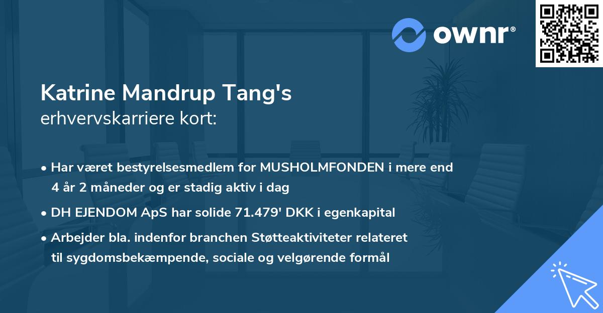 Katrine Mandrup Tang's erhvervskarriere kort