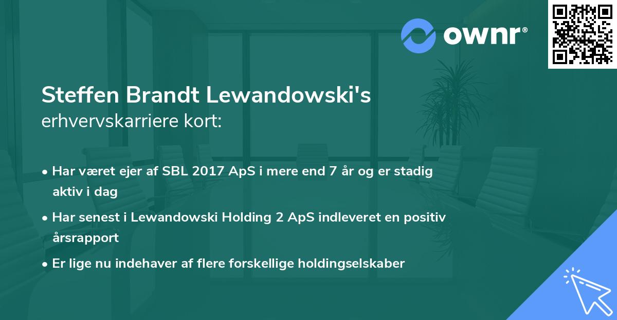 Steffen Brandt Lewandowski's erhvervskarriere kort