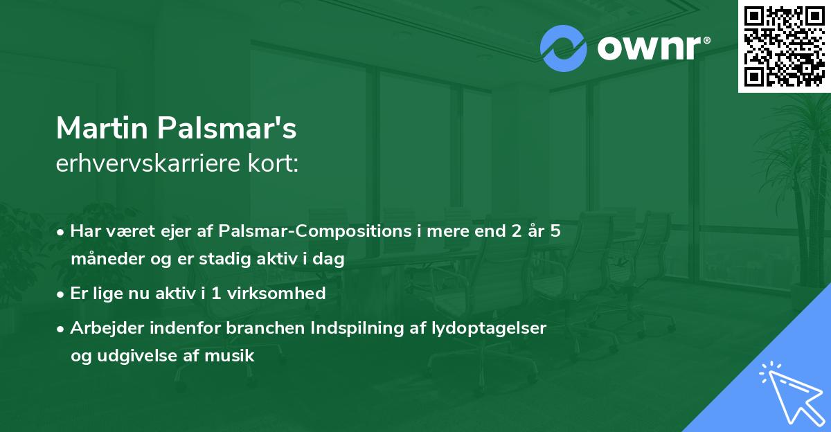 Martin Palsmar's erhvervskarriere kort