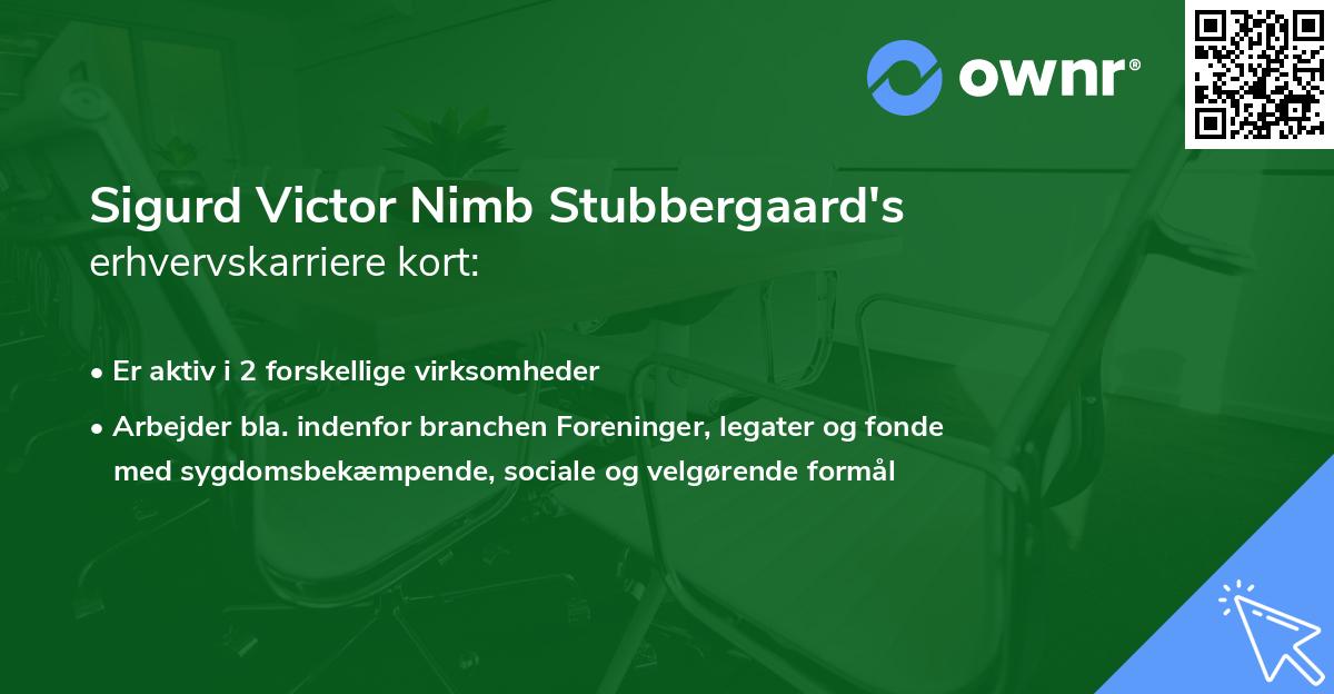 Sigurd Victor Nimb Stubbergaard's erhvervskarriere kort