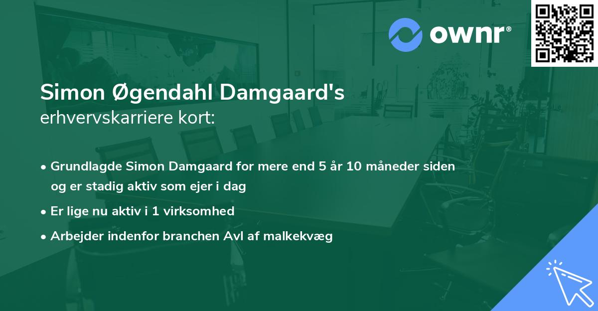 Simon Øgendahl Damgaard's erhvervskarriere kort