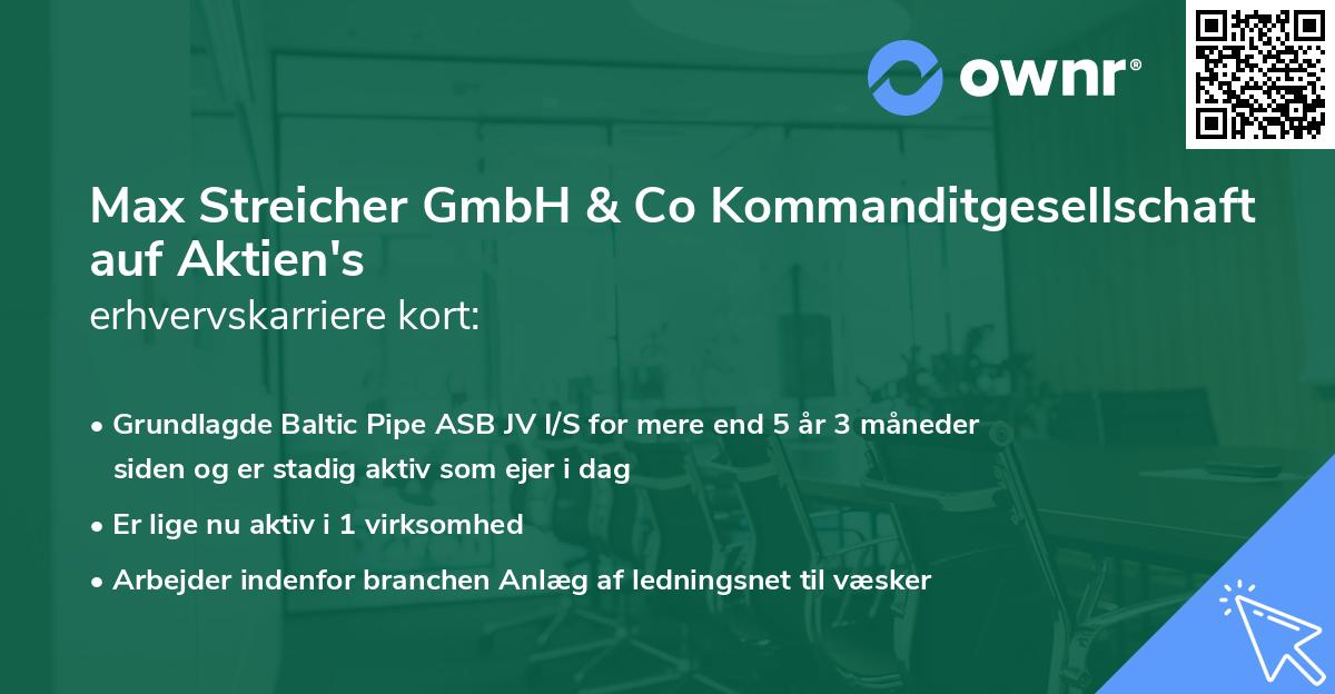 Max Streicher GmbH & Co Kommanditgesellschaft auf Aktien's erhvervskarriere kort