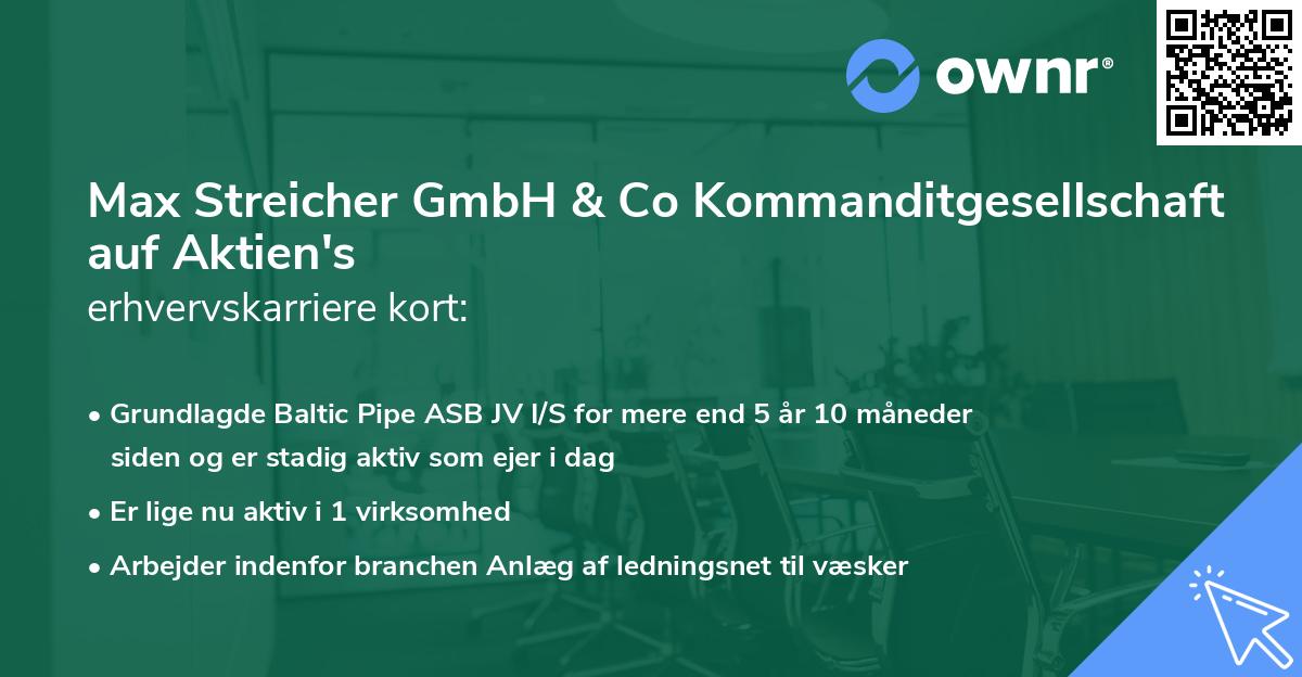 Max Streicher GmbH & Co Kommanditgesellschaft auf Aktien's erhvervskarriere kort