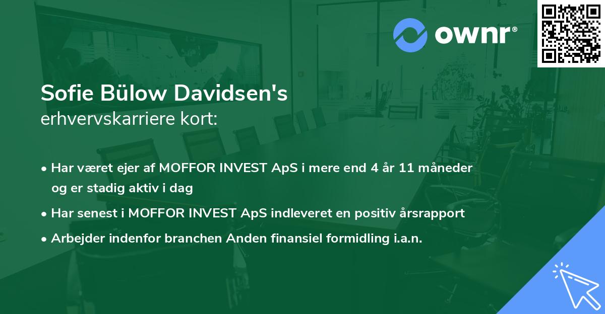 Sofie Bülow Davidsen's erhvervskarriere kort