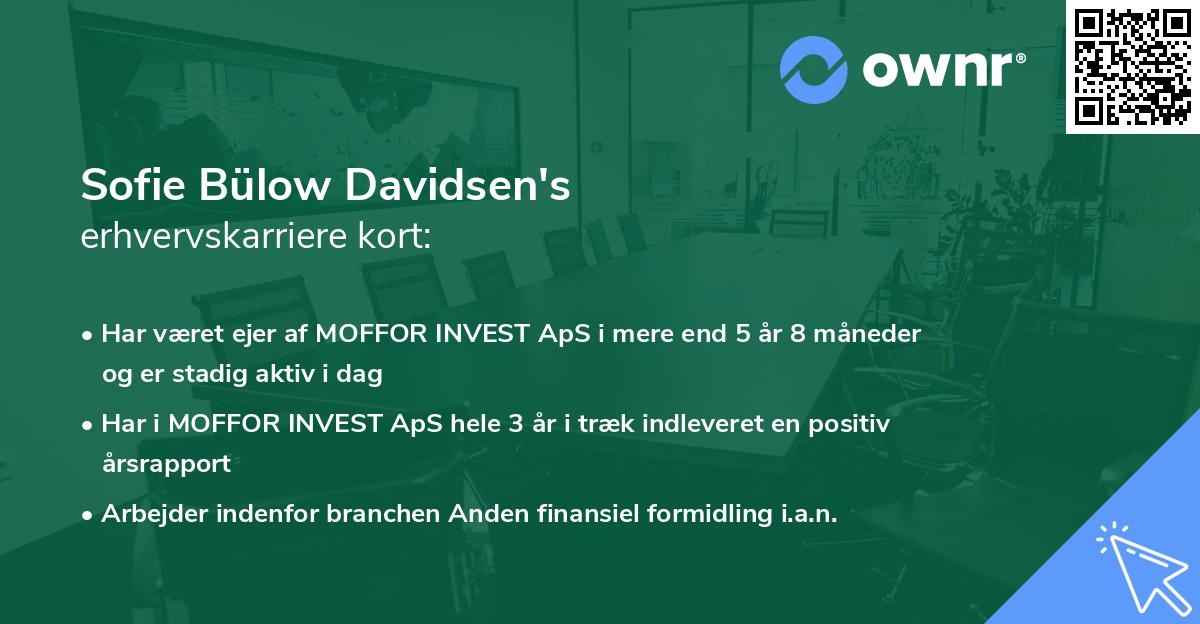 Sofie Bülow Davidsen's erhvervskarriere kort