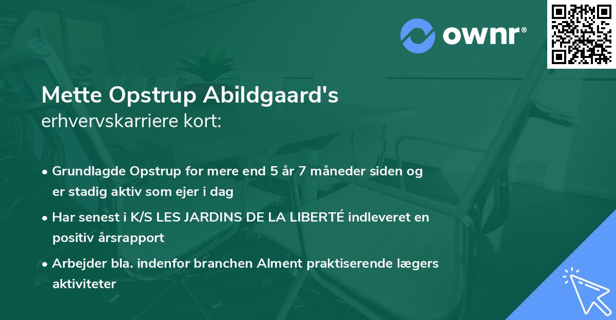 Mette Opstrup Abildgaard's erhvervskarriere kort