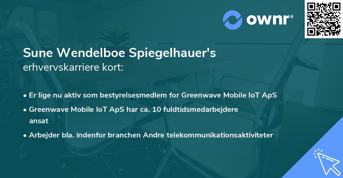 Sune Wendelboe Spiegelhauer's erhvervskarriere kort
