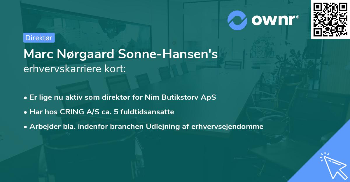 Marc Nørgaard Sonne-Hansen's erhvervskarriere kort