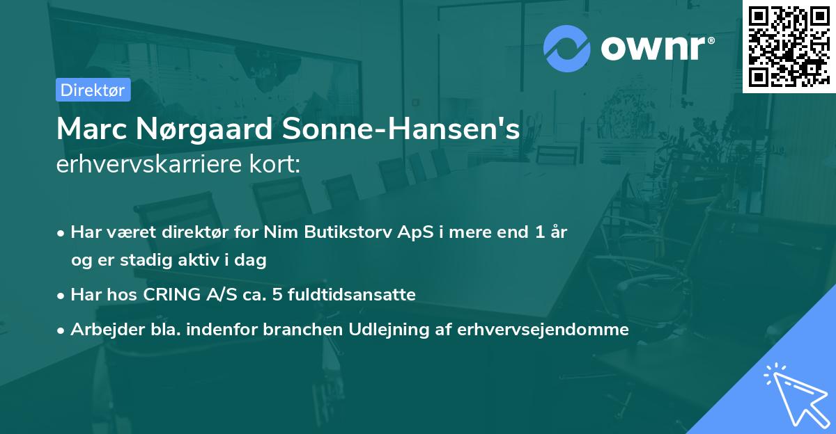 Marc Nørgaard Sonne-Hansen's erhvervskarriere kort