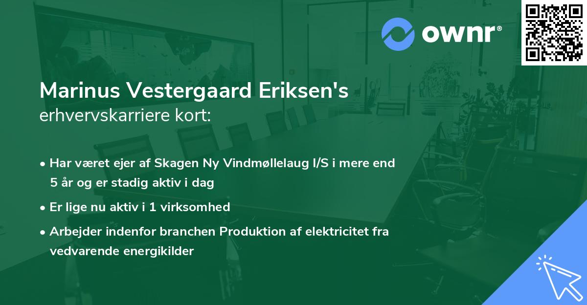 Marinus Vestergaard Eriksen's erhvervskarriere kort