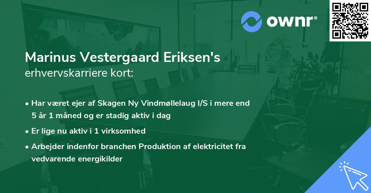 Marinus Vestergaard Eriksen's erhvervskarriere kort