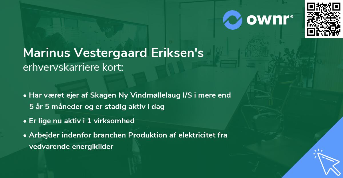 Marinus Vestergaard Eriksen's erhvervskarriere kort