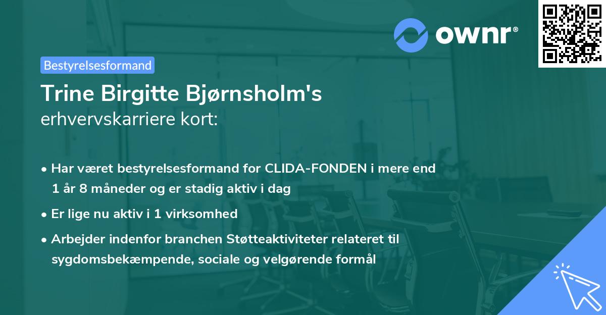 Trine Birgitte Bjørnsholm's erhvervskarriere kort