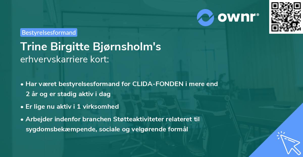 Trine Birgitte Bjørnsholm's erhvervskarriere kort