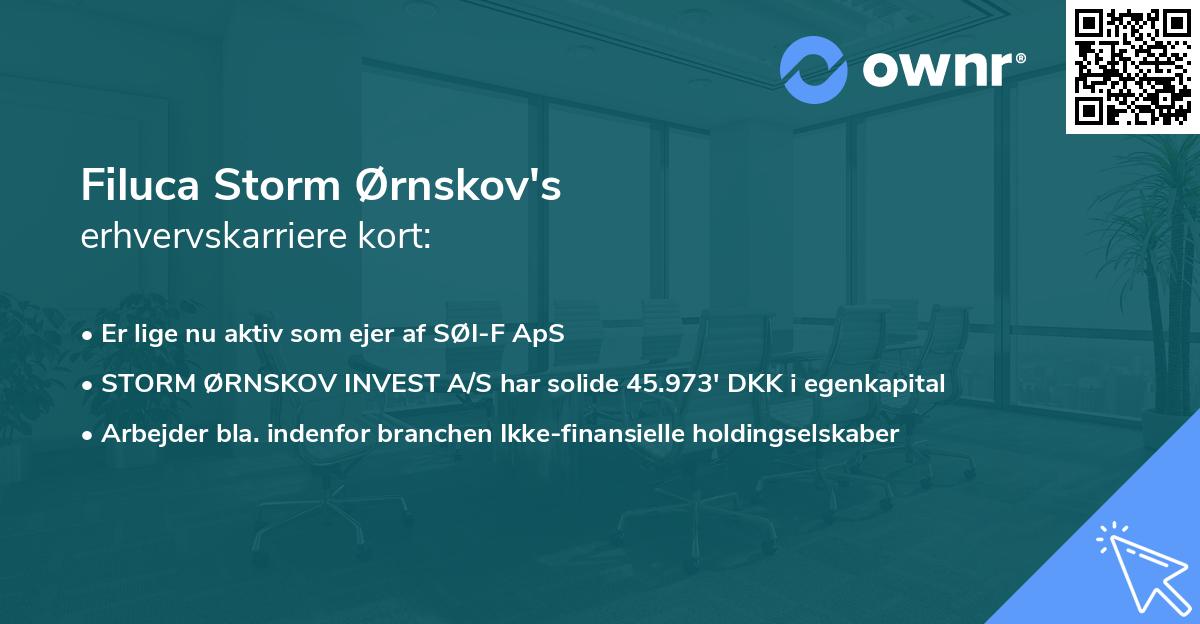 Filuca Storm Ørnskov's erhvervskarriere kort