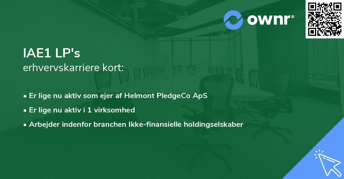 IAE1 LP's erhvervskarriere kort