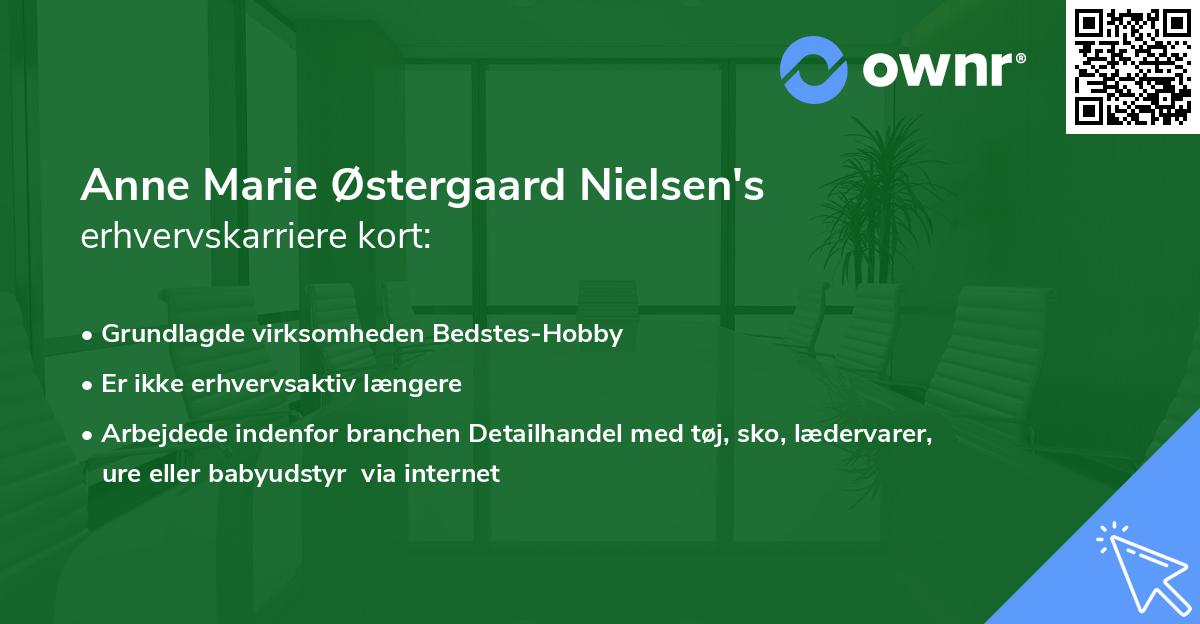 Anne Marie Østergaard Nielsen's erhvervskarriere kort