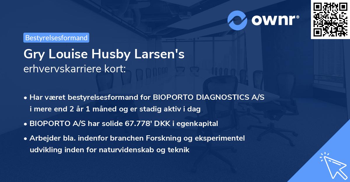 Gry Louise Husby Larsen's erhvervskarriere kort