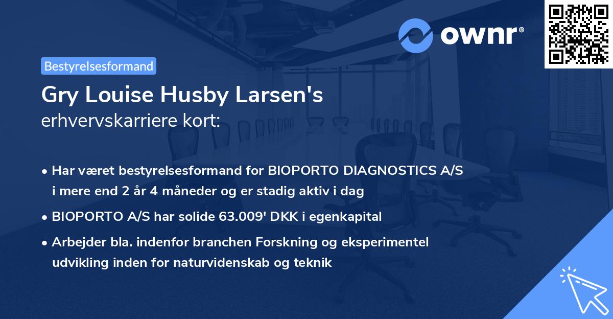 Gry Louise Husby Larsen's erhvervskarriere kort
