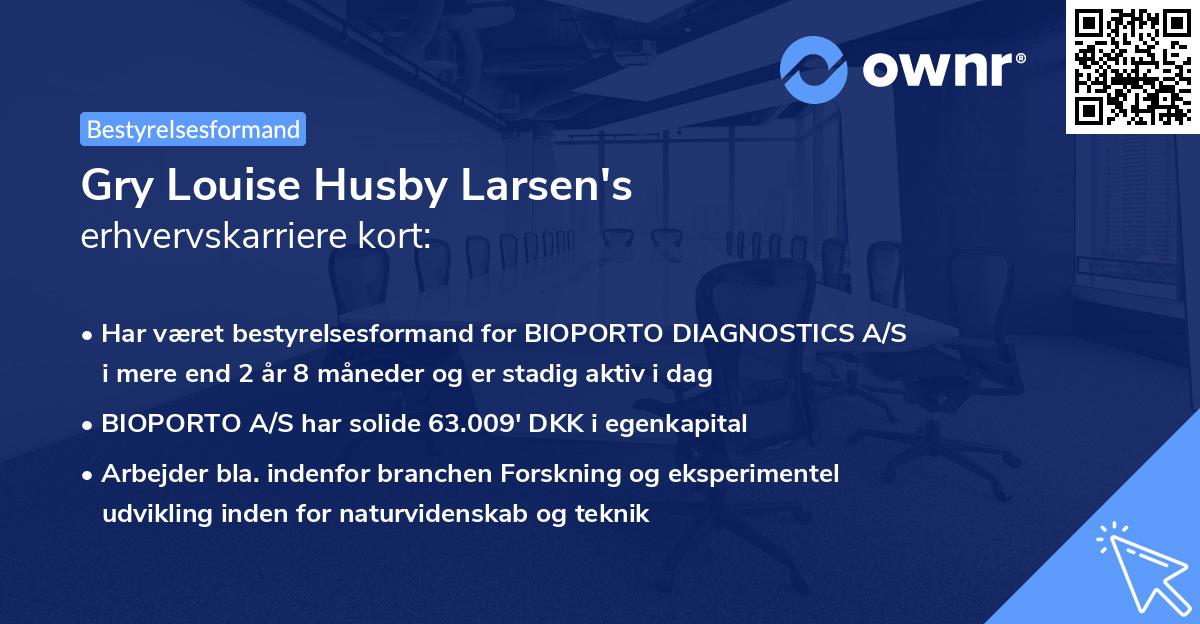 Gry Louise Husby Larsen's erhvervskarriere kort