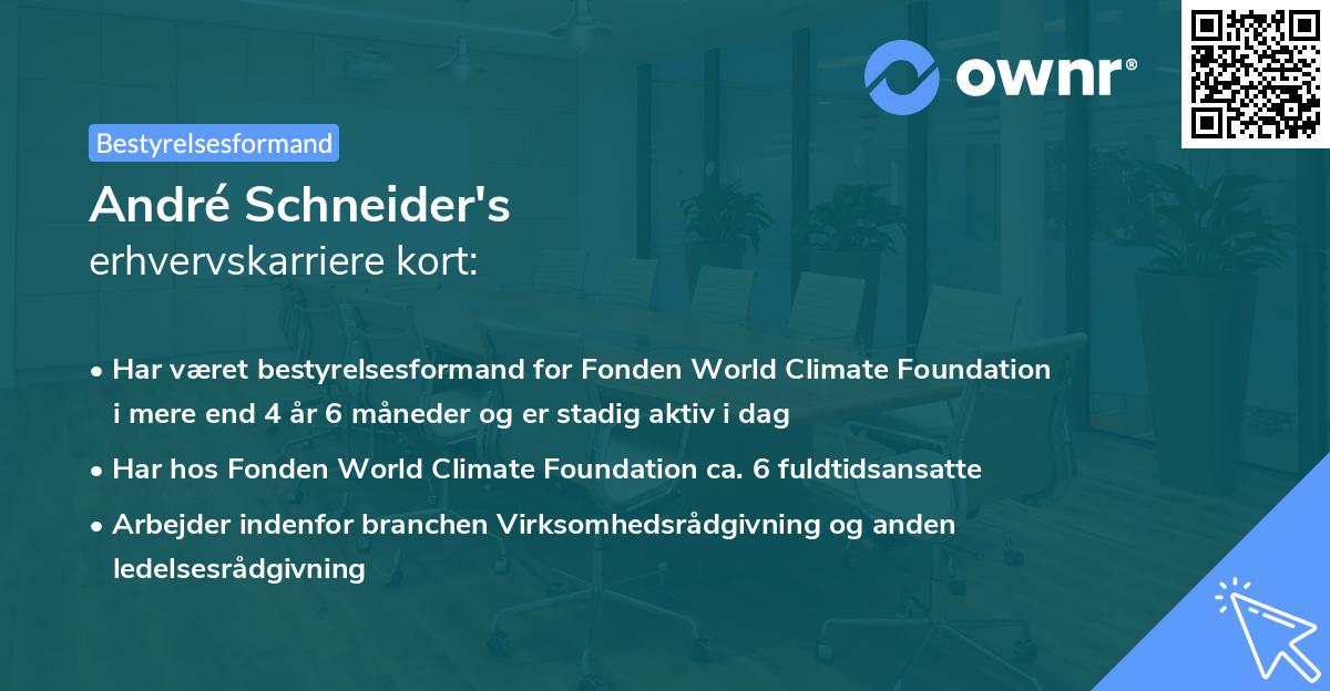 André Schneider's erhvervskarriere kort