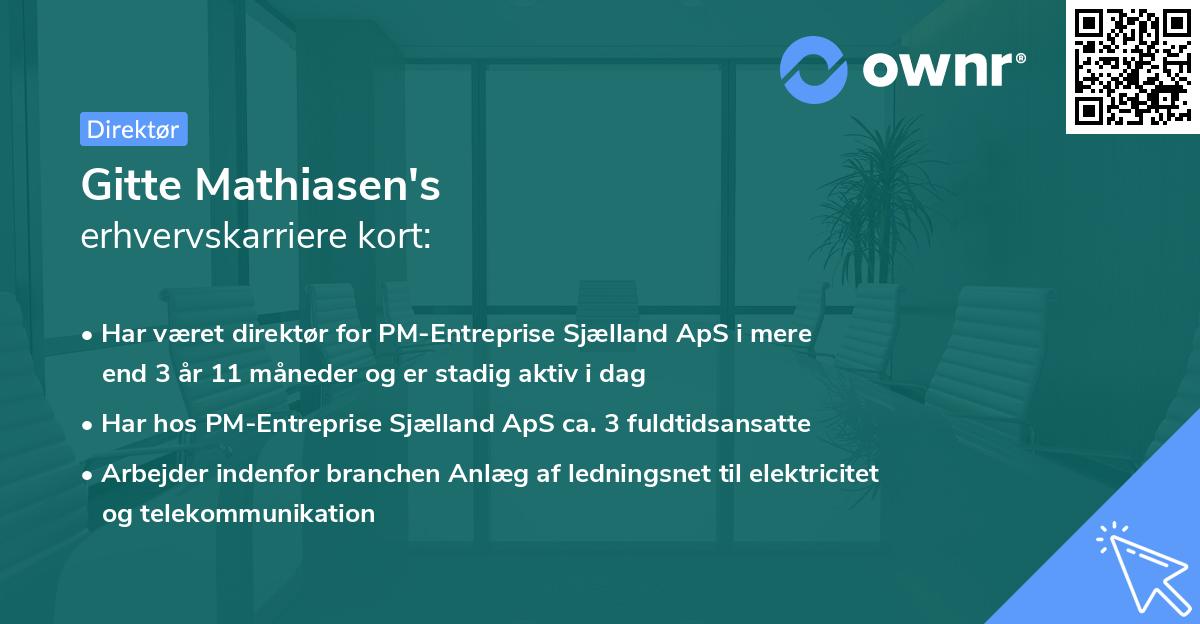Gitte Mathiasen's erhvervskarriere kort