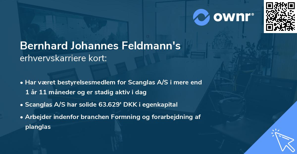 Bernhard Johannes Feldmann's erhvervskarriere kort