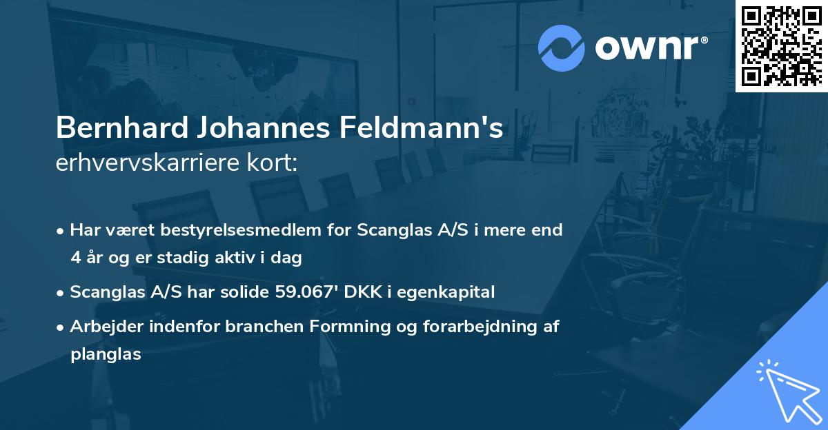 Bernhard Johannes Feldmann's erhvervskarriere kort