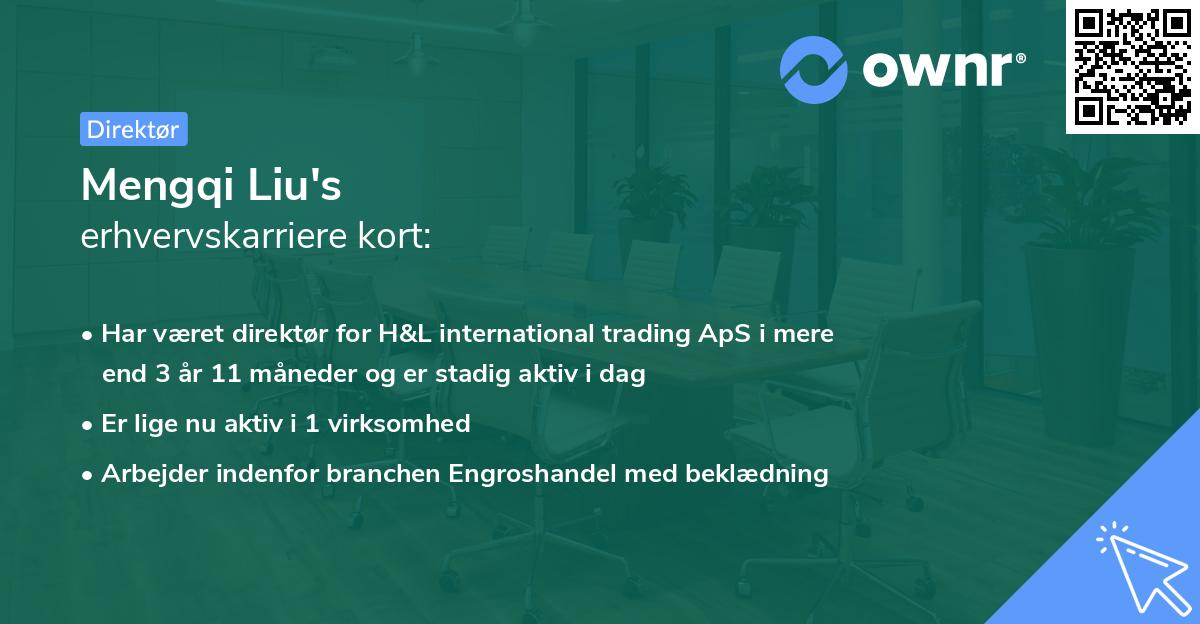 Mengqi Liu's erhvervskarriere kort