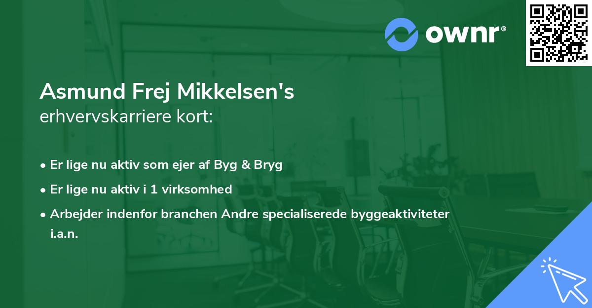 Asmund Frej Mikkelsen's erhvervskarriere kort
