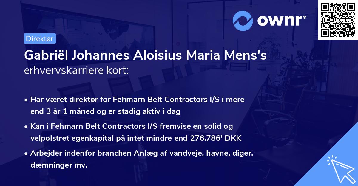 Gabriël Johannes Aloisius Maria Mens's erhvervskarriere kort