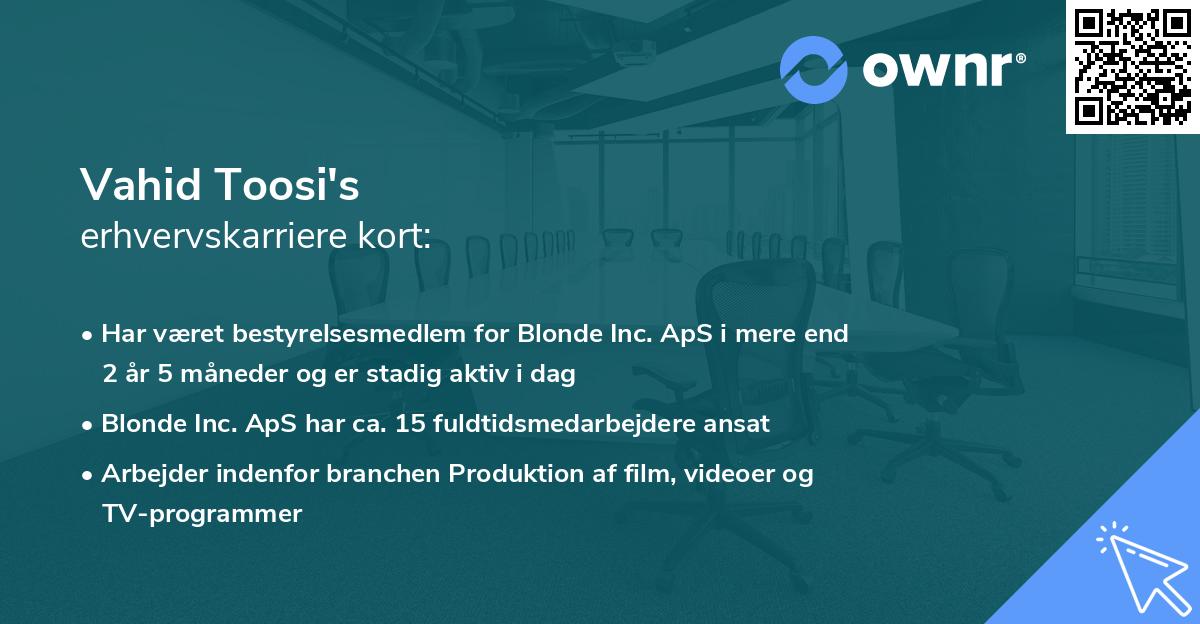 Vahid Toosi's erhvervskarriere kort